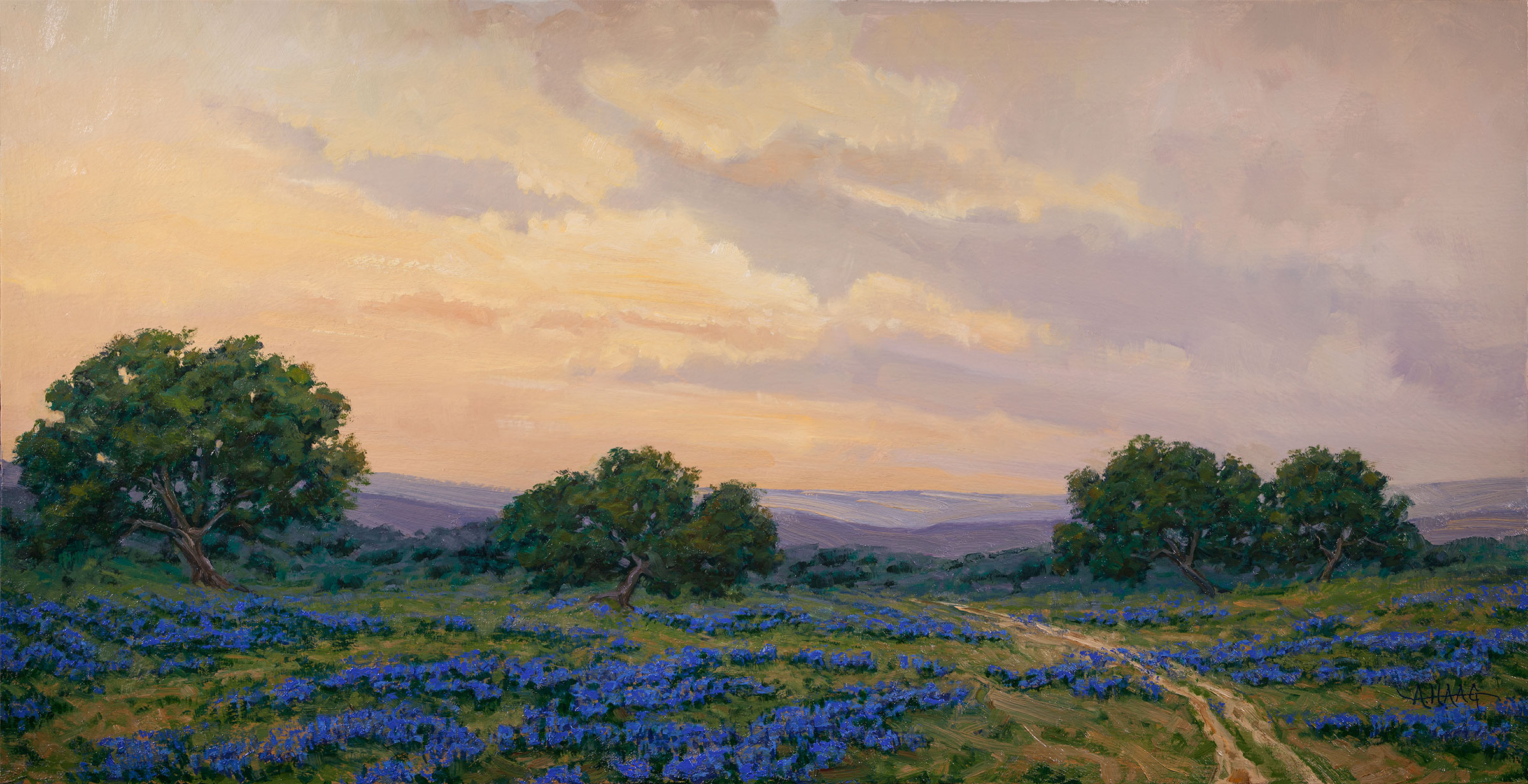 Hill-Country-Sky-16x32-small-SFW